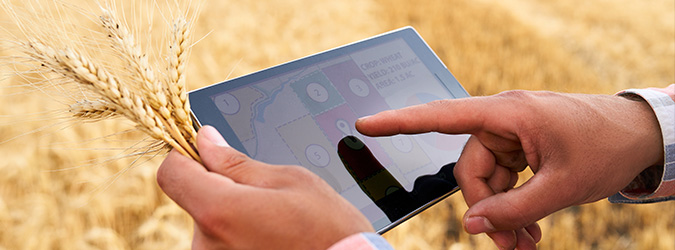 Scott Krug monitors crop data on a tablet in a Wisconsin field, highlighting State Assembly work.